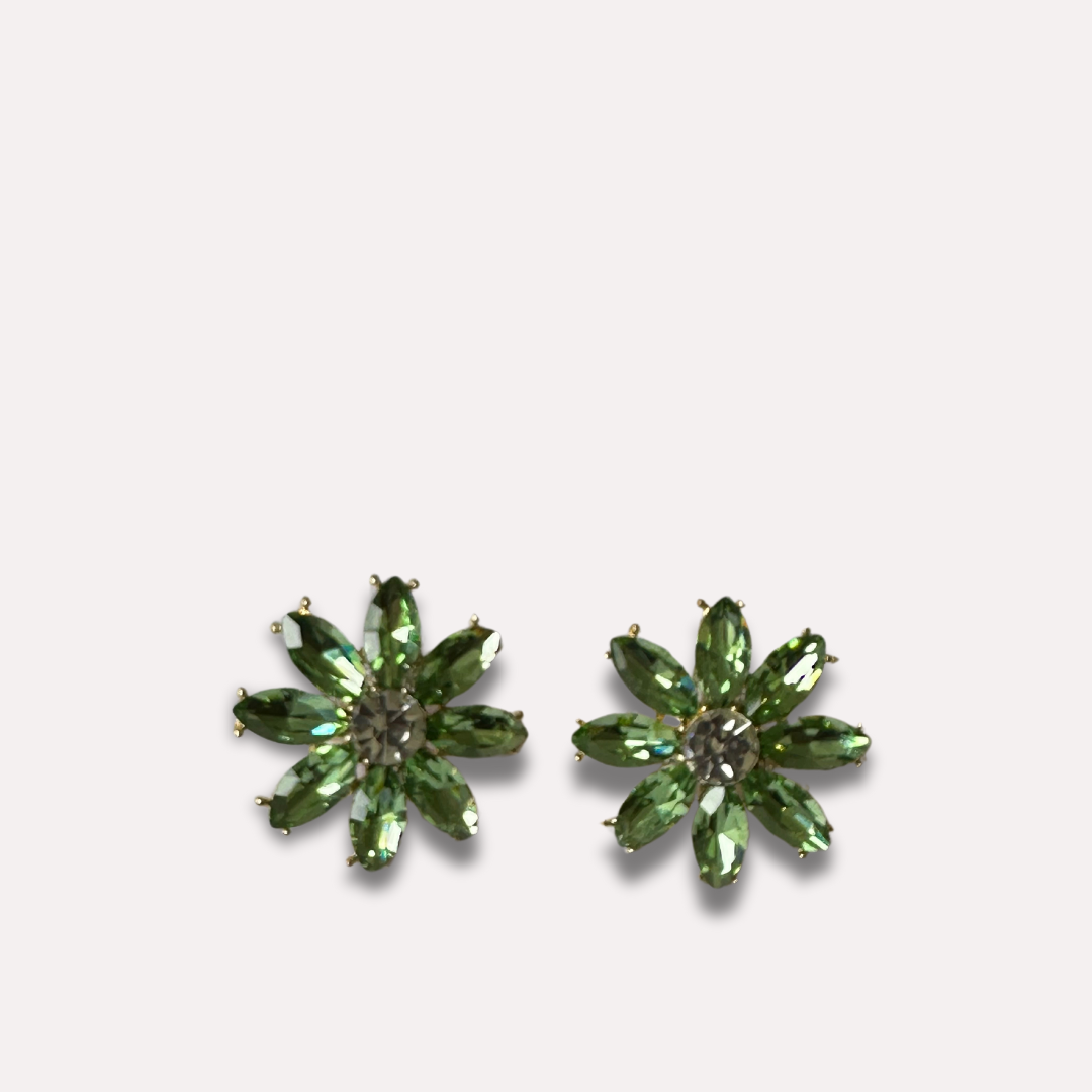 Shoe Trims - Flower (Silver,Green,Pink,Coffee)